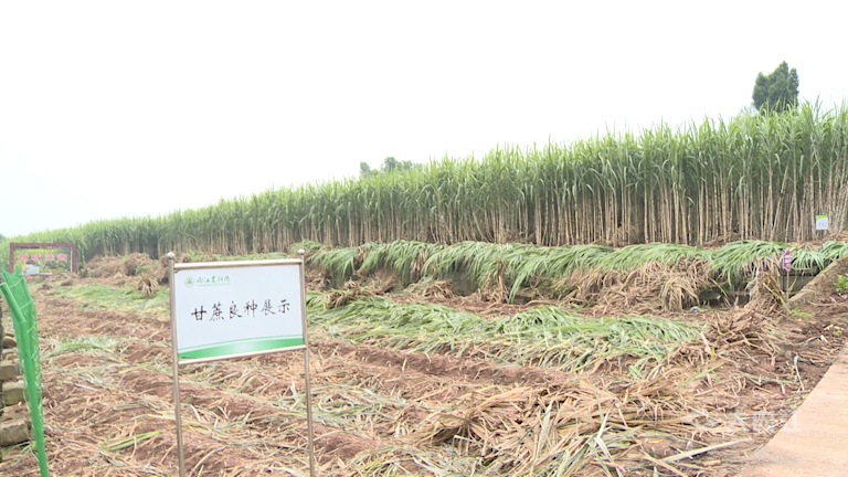 282035_1635217976248186.png 微信图片_20211026111140.png