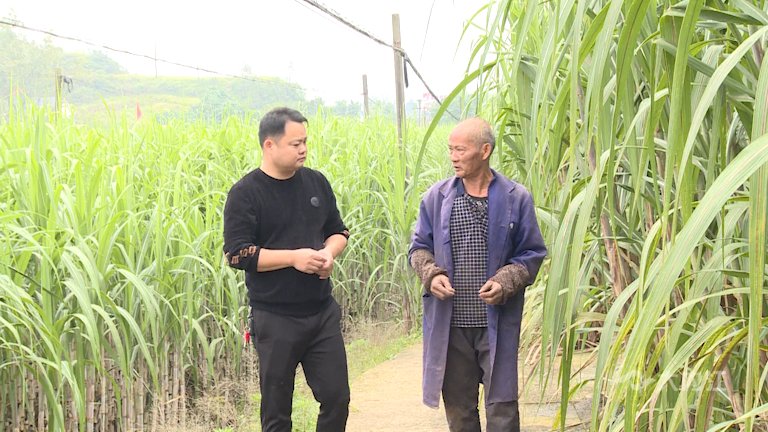 282035_1635217987165501.png 微信图片_20211026111132.png