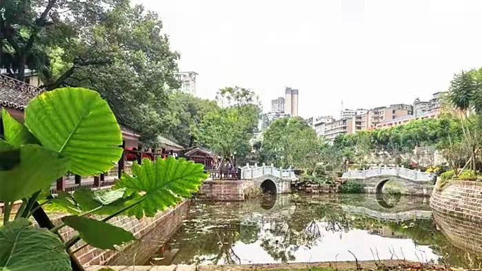 282126_1633050179614805.jpg 微信图片_20210926111255_副本.jpg