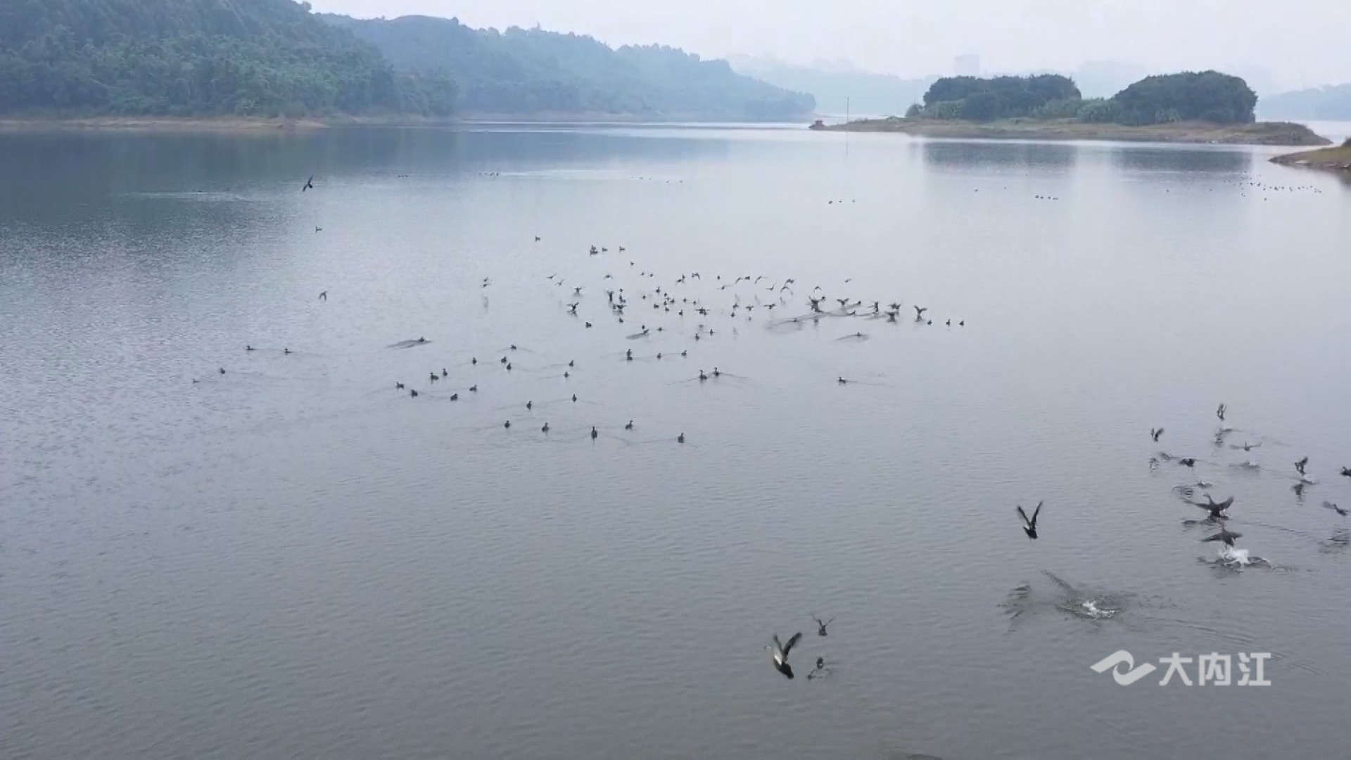 282035_1636080520446069.jpg 2.jpg