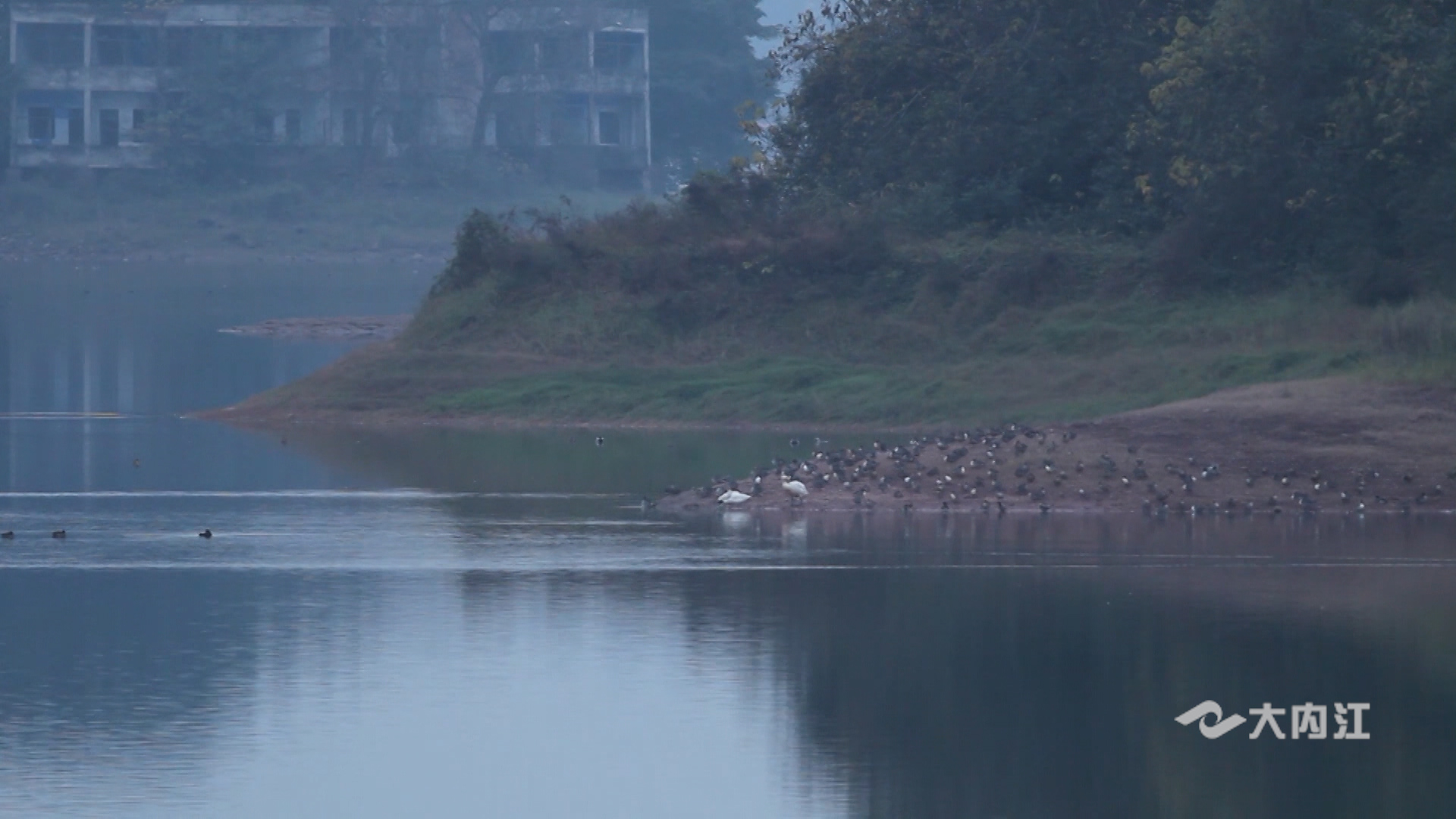 282035_1636080547913549.jpg 3.jpg