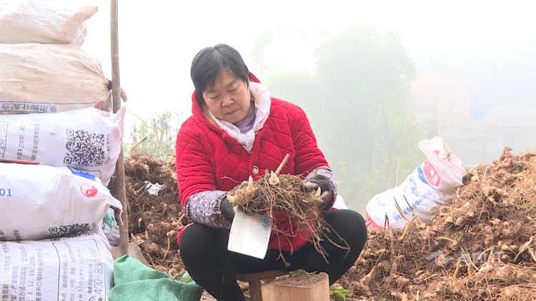 282035_1637652292839905.png 微信图片_20211123151519.png