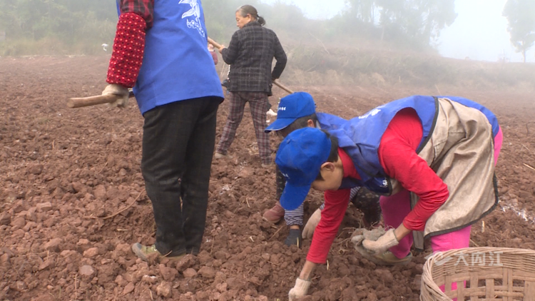 282035_1637652343229051.png 微信图片_20211123151506.png