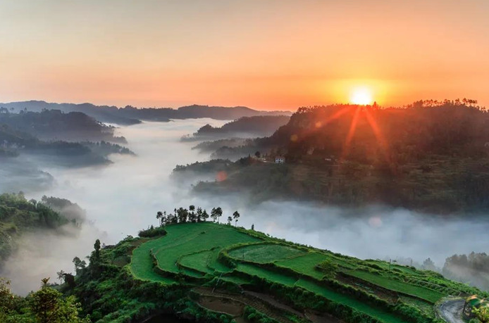 286033_1636031510223850.png 4.png