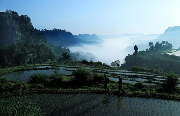 286033_1636031524692696.png 5.png