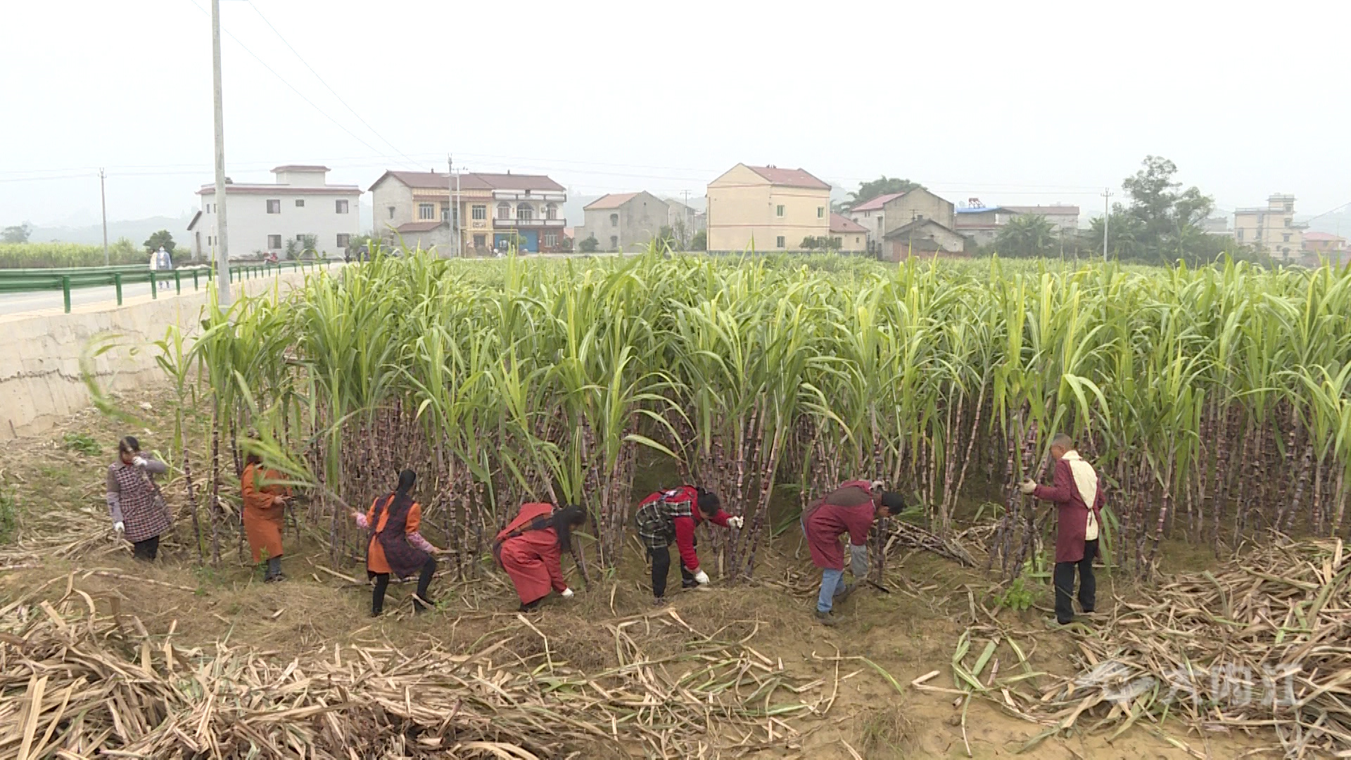 286258_1637574996369023.jpg G.00_00_07_02.静止042.jpg