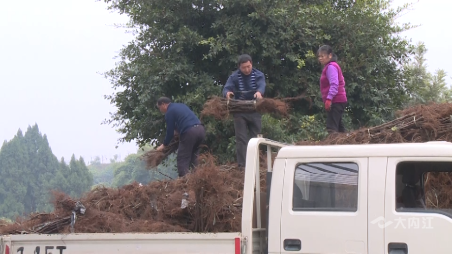 282035_1638951467595594.png 微信图片_20211208161047.png