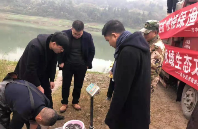 286033_1639573257505488.png 2.png