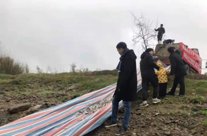 286033_1639573274934615.png 3.png