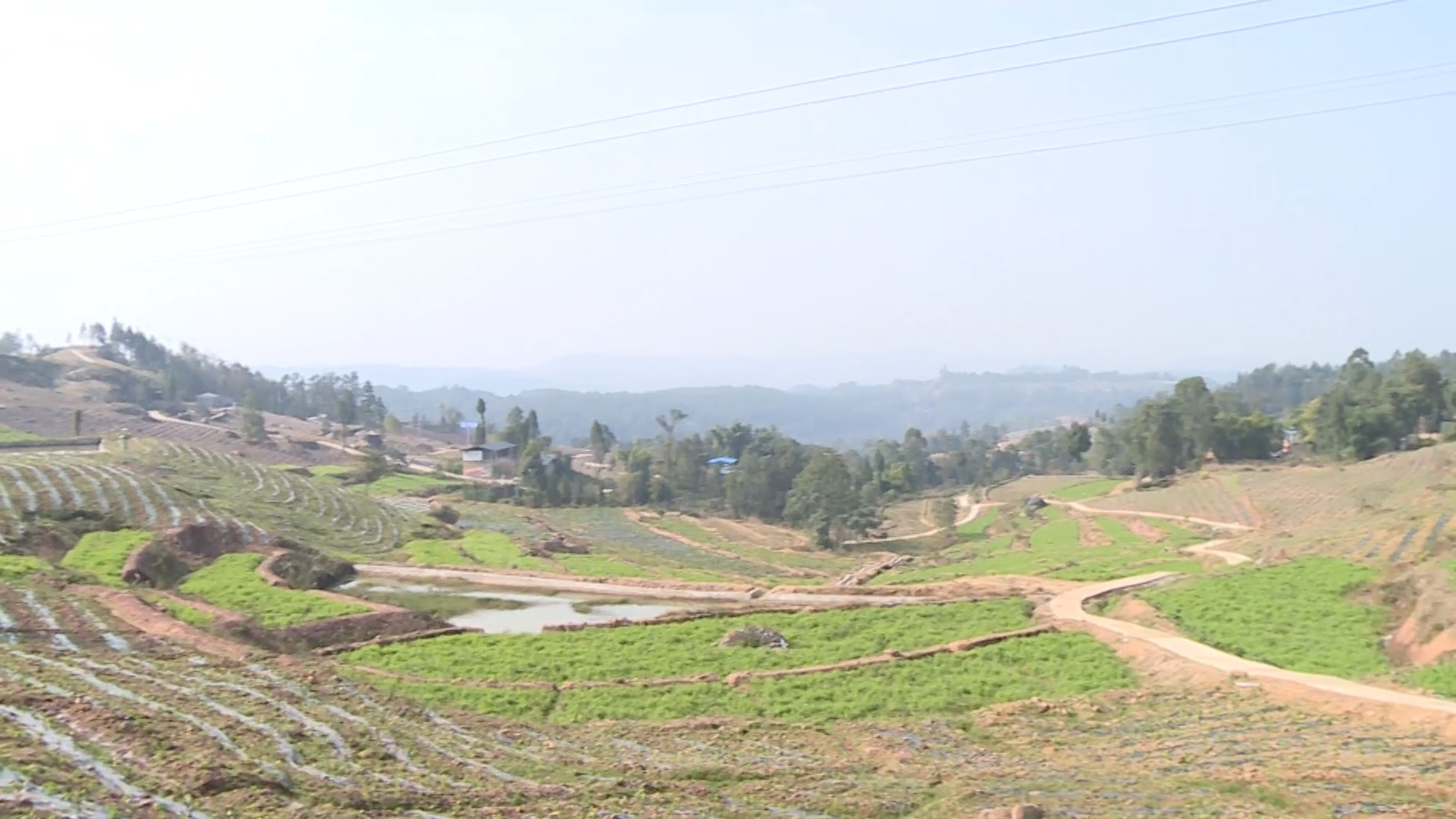 286258_1638590987932194.jpg 666.00_16_19_09.静止251.jpg