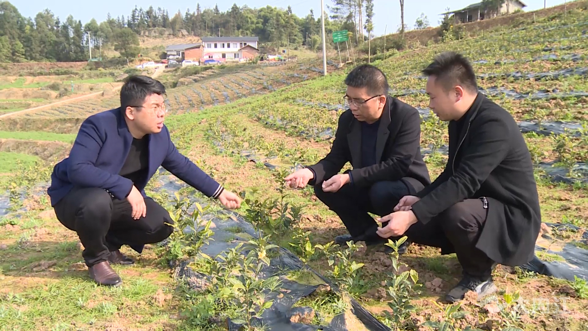 286258_1638591013536751.jpg 666.00_08_27_30.静止253.jpg