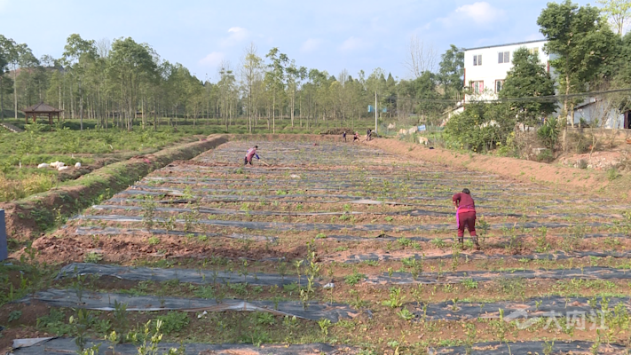 286258_1639556092407478.png d19d4bd6a2144b302416128bde2bac7.png