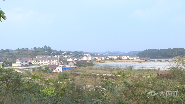 286258_1639556180389714.png 50f407ae58e32a1c8c2605e770600d1.png