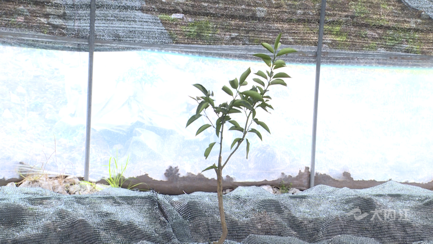 282035_1642490313837682.png 微信图片_20220118151610.png