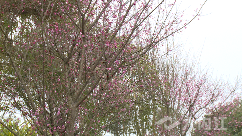 281876_1644896046571229.png 微信图片_20220215113312.png