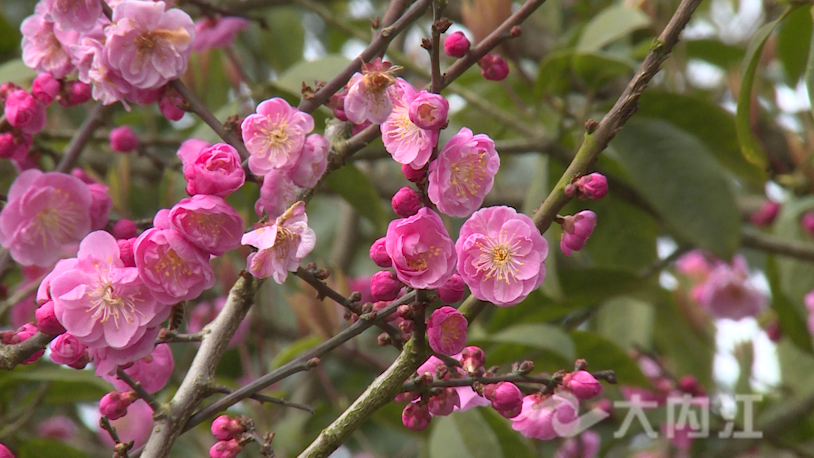 281876_1644896055860175.png 微信图片_20220215113315.png