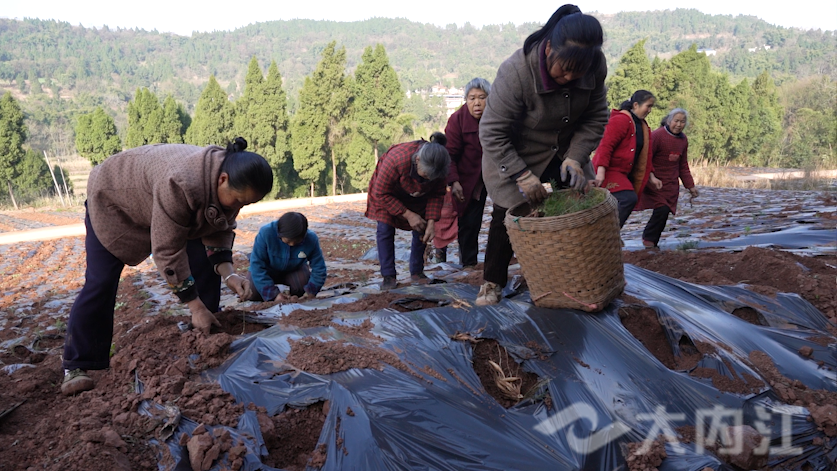 281876_1645004255904204.png 微信图片_20220216173646.png