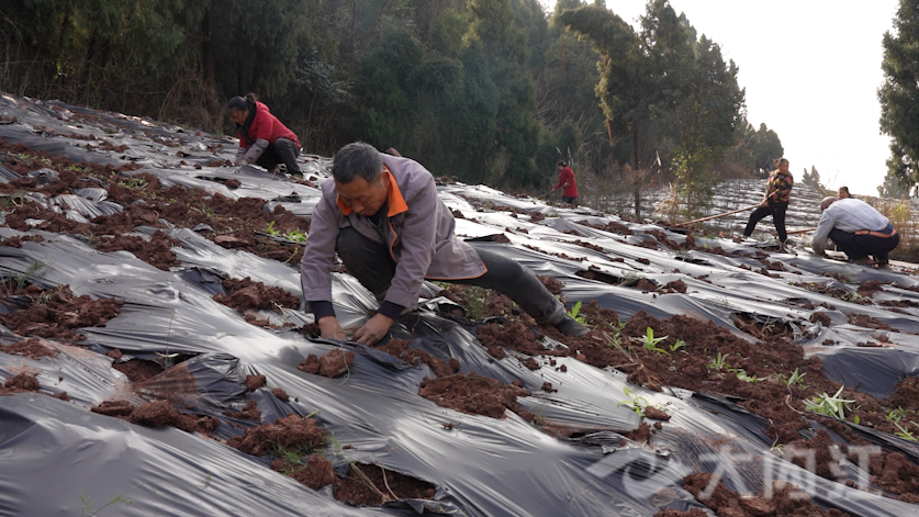 281876_1645004262765563.png 微信图片_20220216173649.png