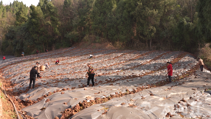 281876_1645004267980823.png 微信图片_20220216173652.png