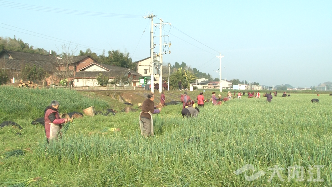 281876_1645172043624889.png 微信图片_20220218161132.png