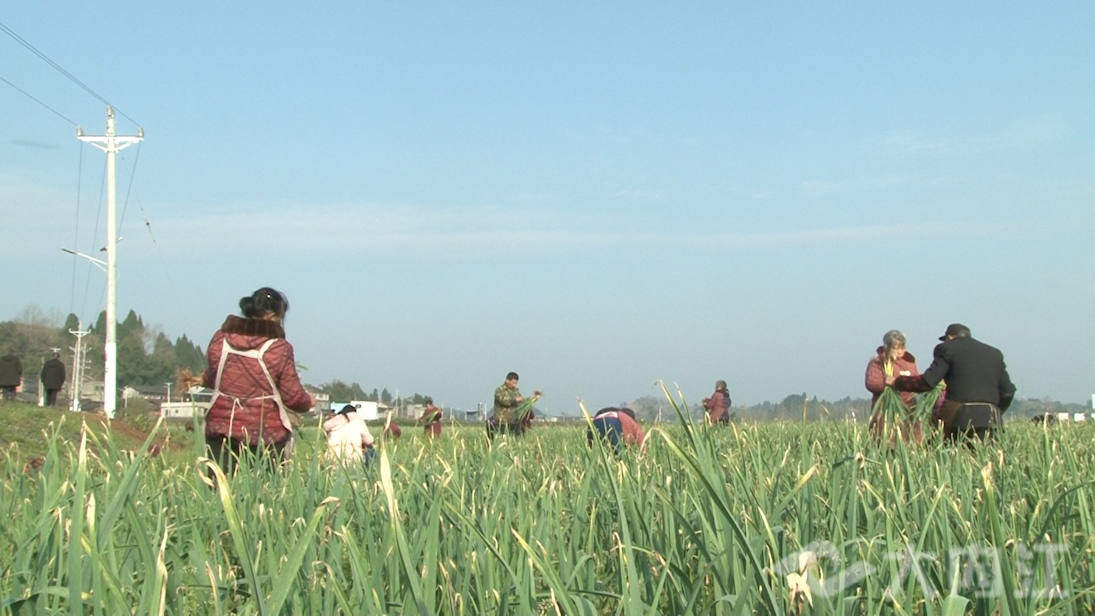 281876_1645172051427468.png 微信图片_20220218161135.png