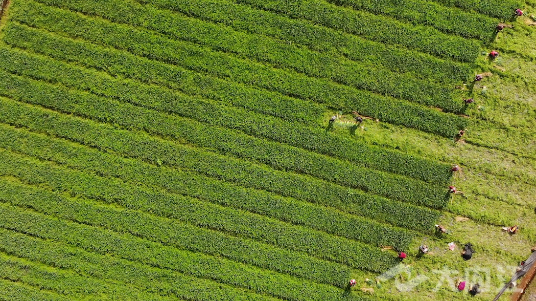 281876_1645172057972696.png 微信图片_20220218161236.png