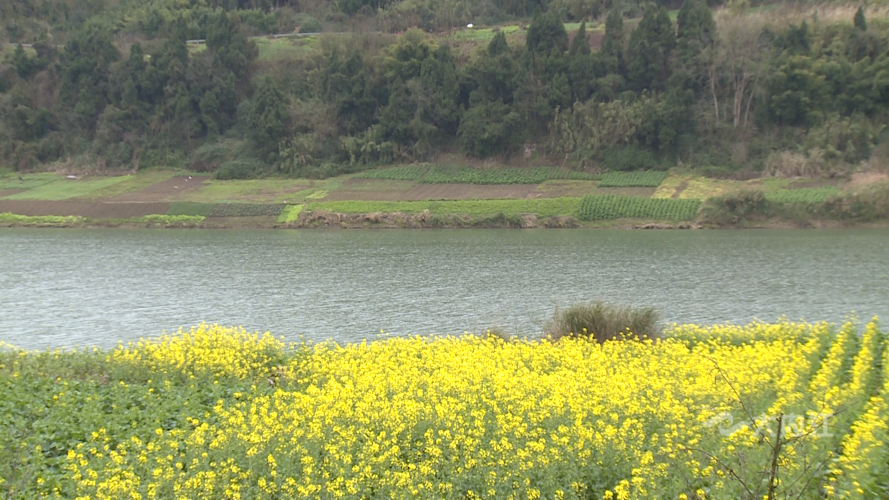 282035_1644391754318576.png 微信图片_20220209105008.png