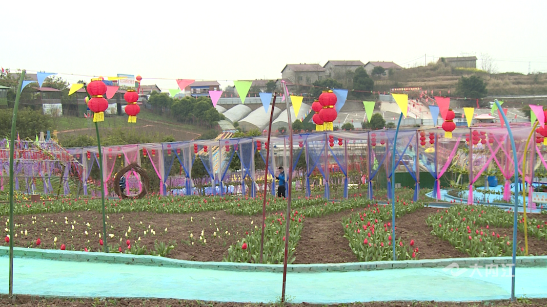 282035_1645180134748509.png 50.png