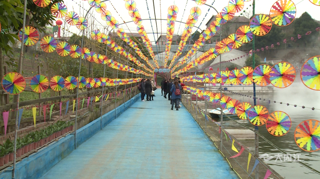 282035_1645180218998465.png 55.png