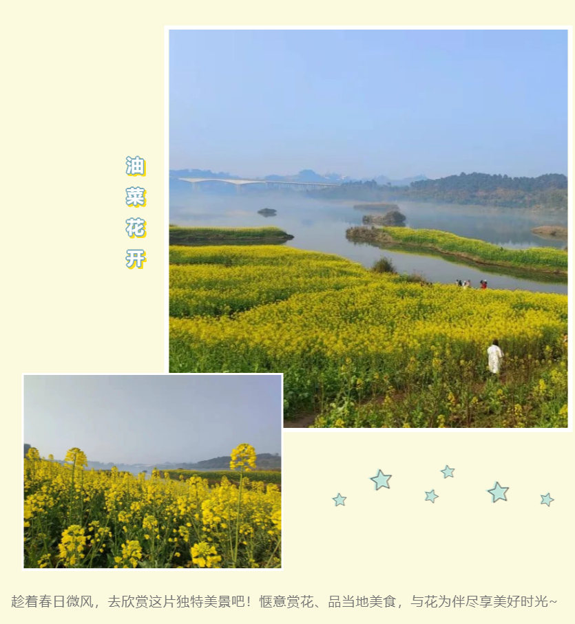 282035_1645709940768992.png 2.png