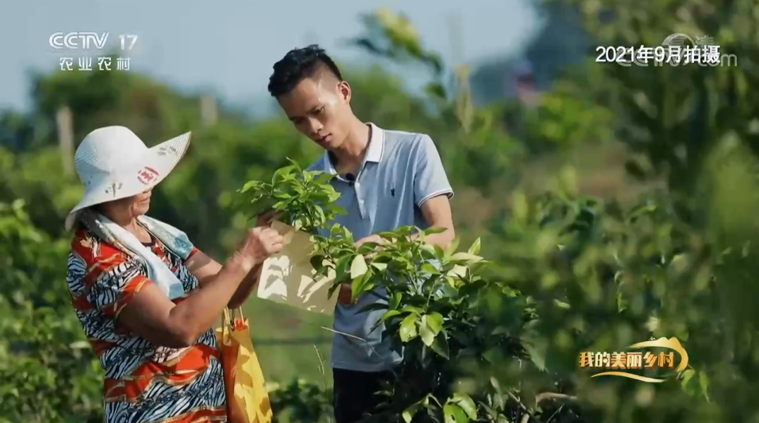 286258_1645786745608446.jpg 1c1f4b81fc6e941e05a11036585a4d23.jpg