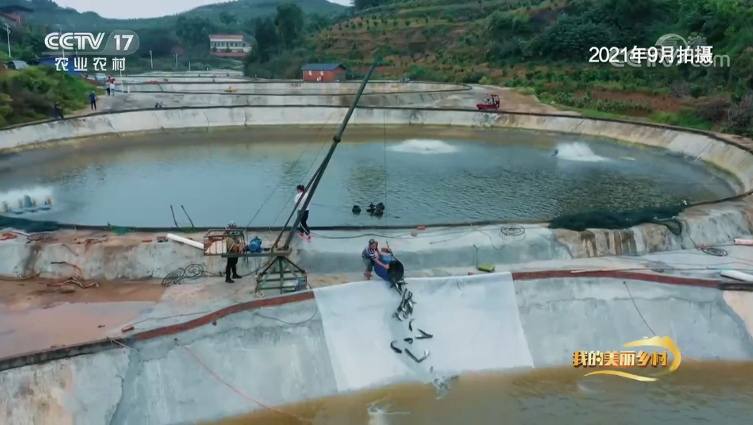 286258_1645786816825030.jpg 163563e2e0e5c5d8c6ec860481f938f9.jpg