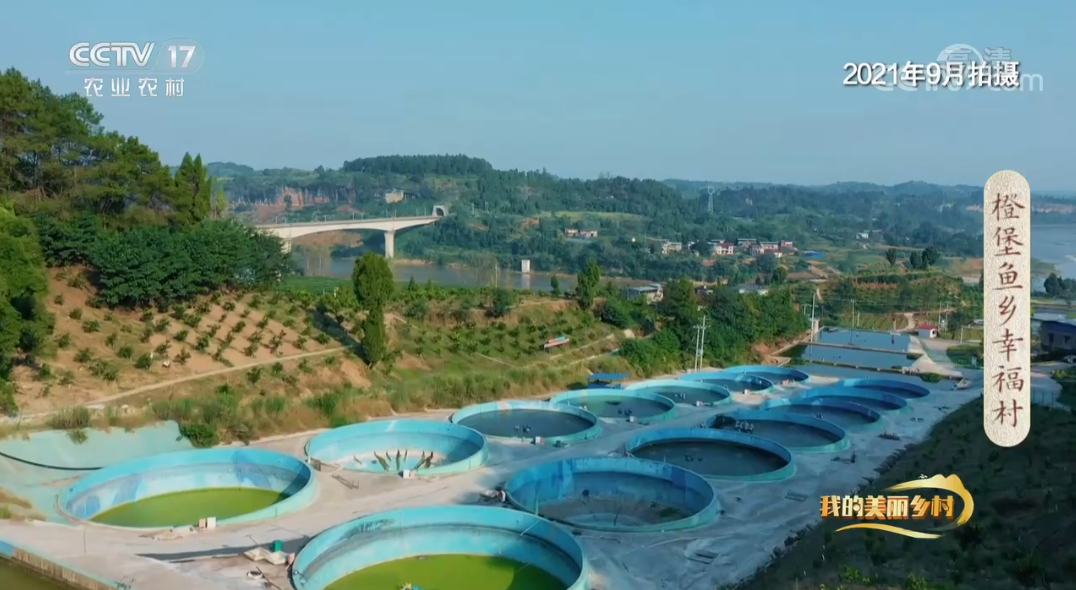 286258_1645786832749890.jpg f60c4b29cad306bd548b69579e70a30e.jpg