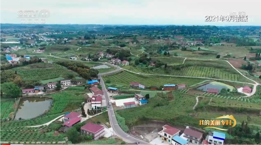 286258_1645786853246696.jpg f017cc362a44fe0fa8f6f00b22deaead.jpg