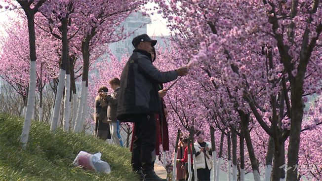 269955_1646102827415488.png 微信图片_20220301103959.png