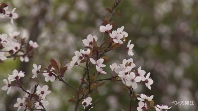 269955_1646102881829247.png 微信图片_20220301102419.png