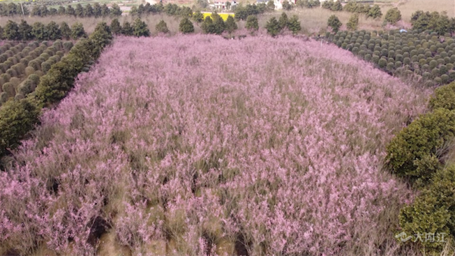 269955_1646102966313564.png 微信图片_20220301104011.png