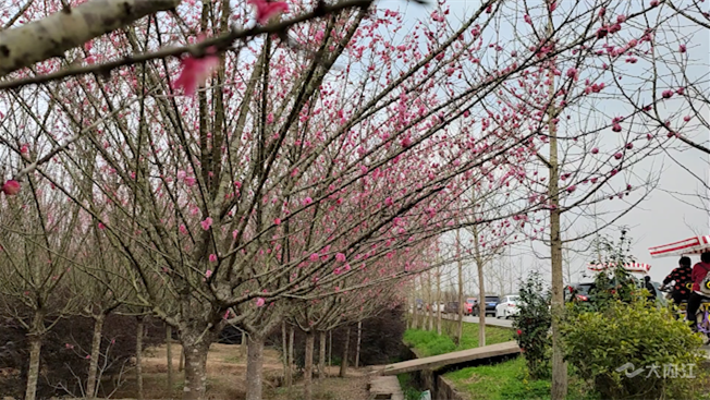 269955_1646103086211055.png 微信图片_20220301104007.png