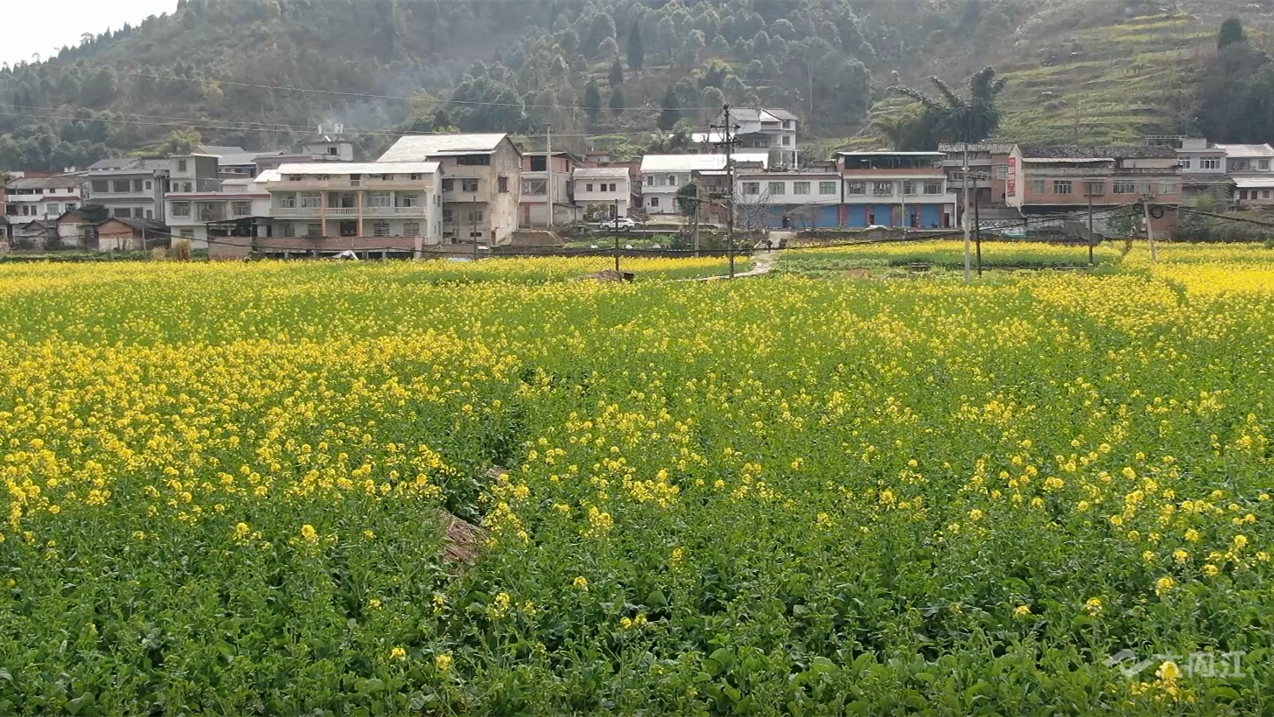 269955_1646106443151583.png 269955_1646106443151583.png