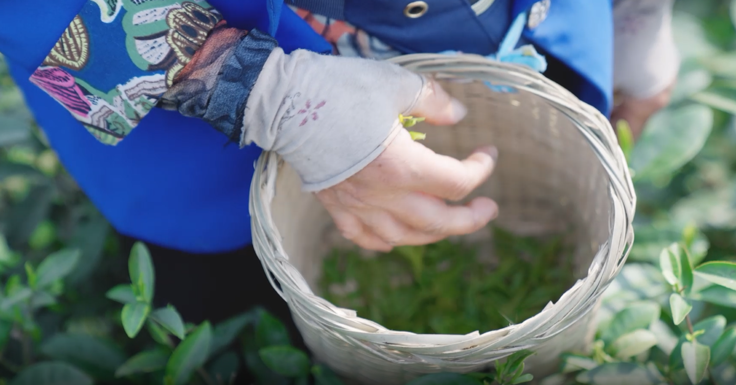 269955_1648001985795878.png 微信图片_202203231007482.png