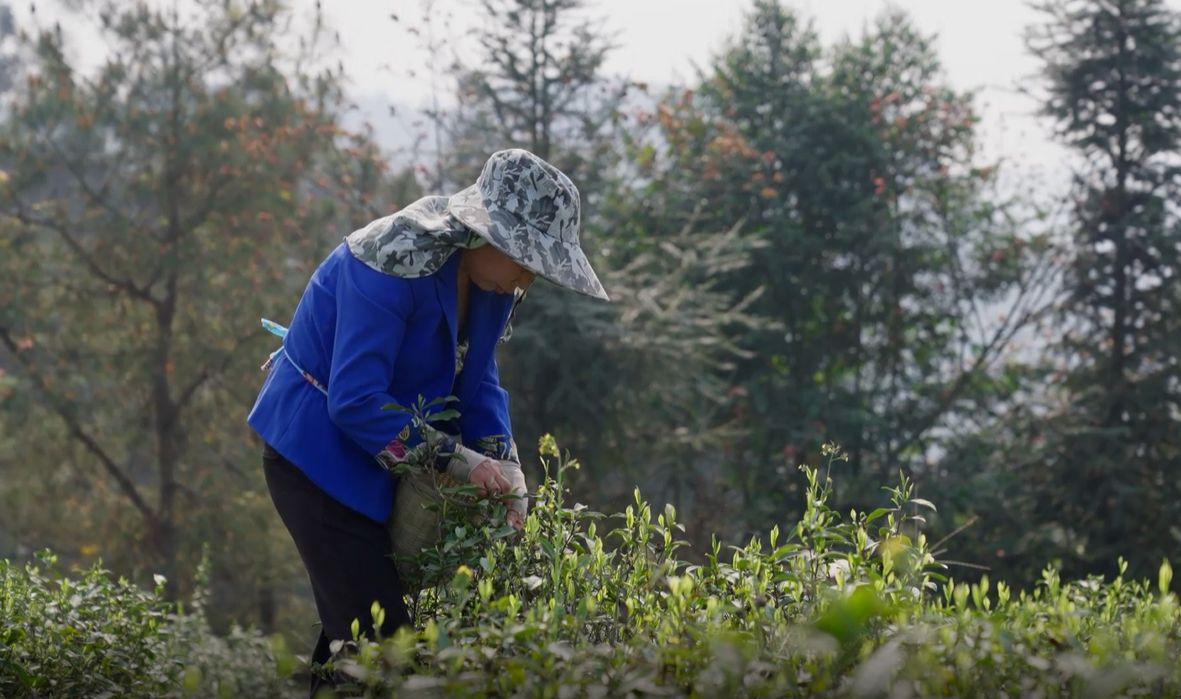 269955_1648001997312069.png 微信图片_202203231007483.png