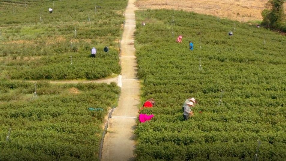 269955_1648002079720652.png 微信图片_202203231007481_副本.png