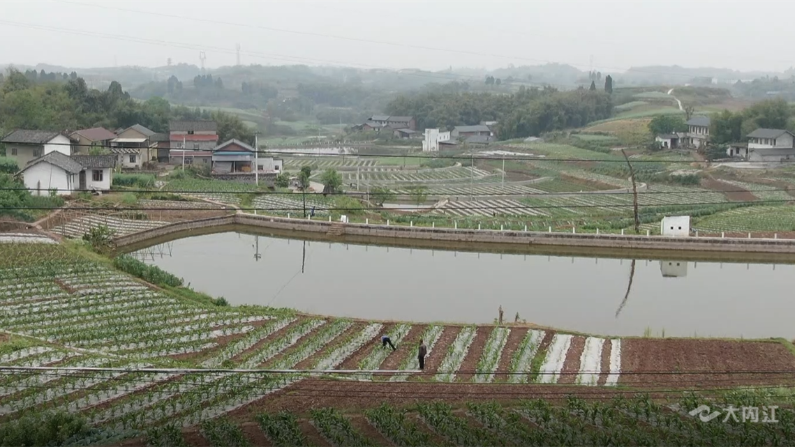 269955_1648522697970003.png 微信图片_20220329094559.png