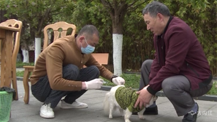 269955_1648541553724715.png 微信图片_202203291611482.png