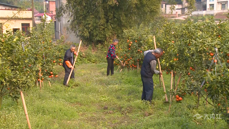 282126_1648451140789741.png 微信图片_20220328115755.png