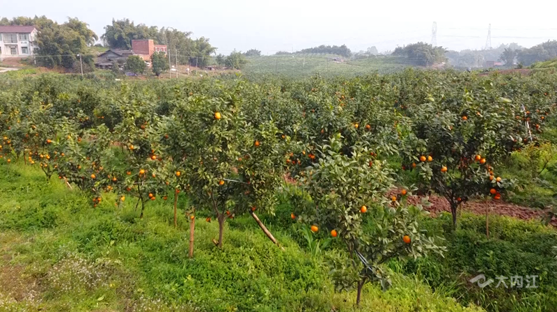 282126_1648451158839181.png 微信图片_20220328115744.png