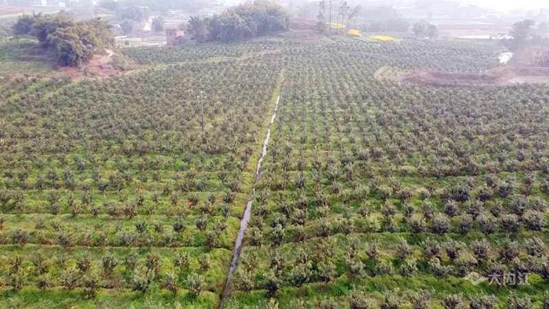 282126_1648451176864146.png 微信图片_20220328115748.png