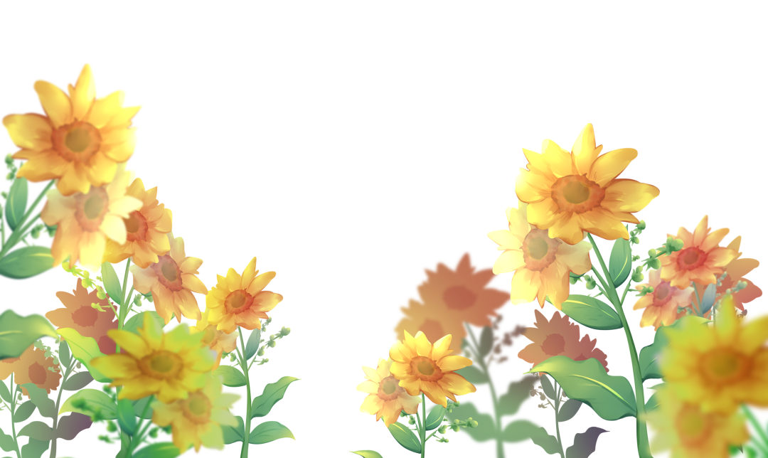 286144_1646273340366288.png