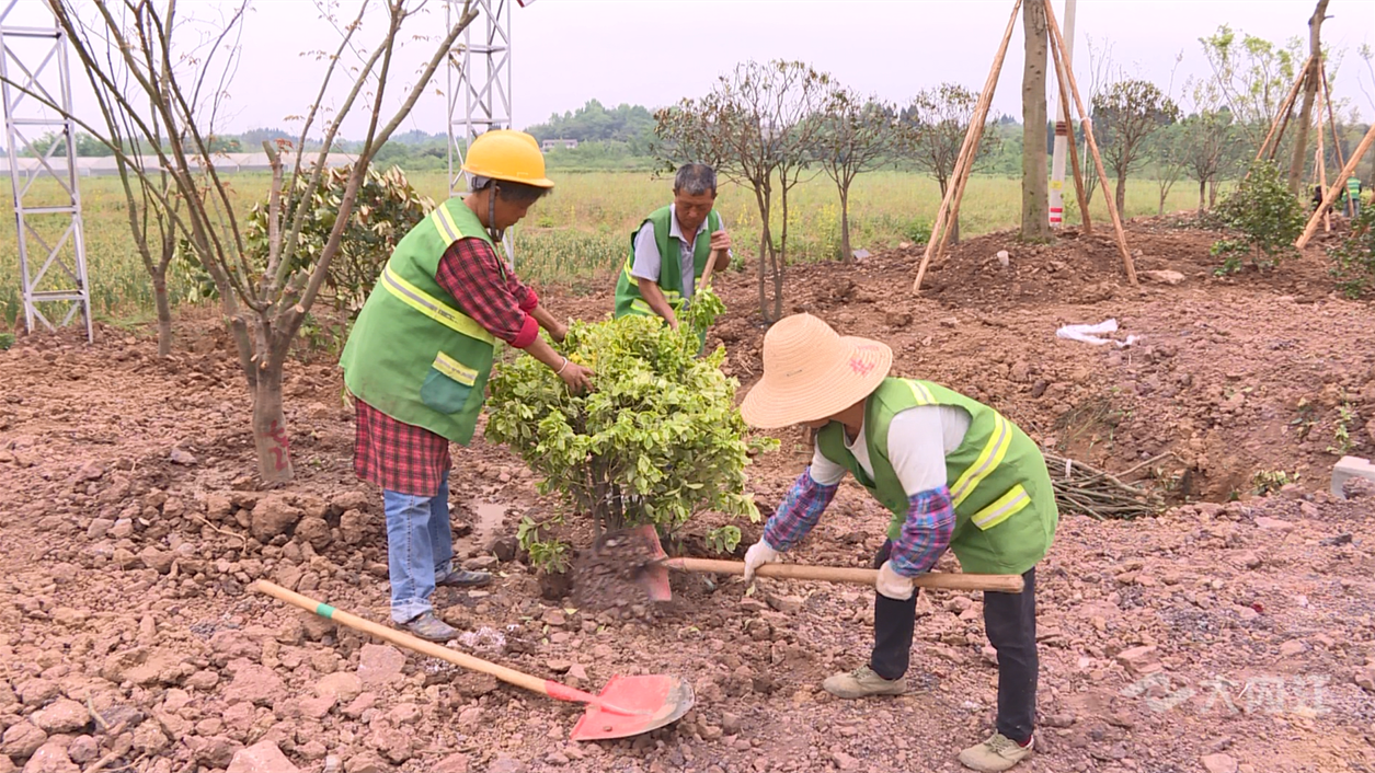 286144_1648695981148656.png 微信图片_20220331104719.png