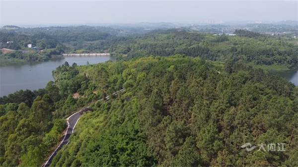 286033_1653297553596071.png 绿化1.png